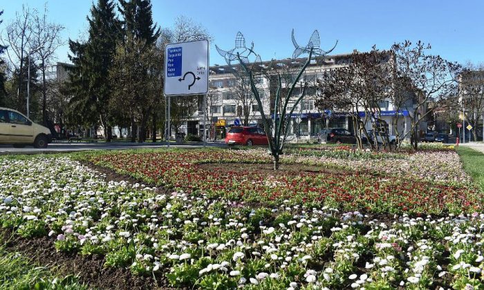 Bulgaristan Razgrad`da Seçime Sadece Yüzde Otuz Katılım