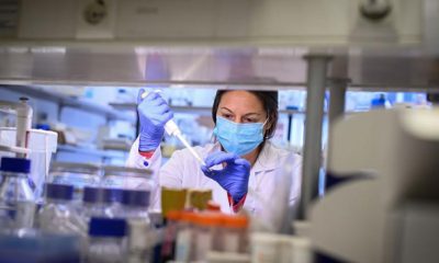 Bulgaristan`da İyileşen Sayısı Artıyor