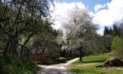 Bosna Hersek’te ilkbahar