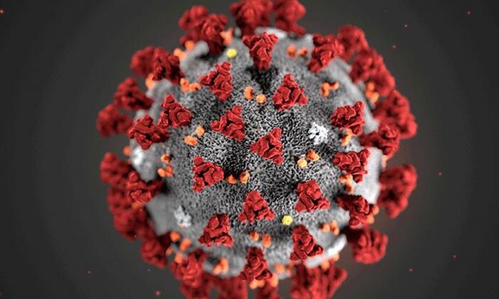 Bulgaristan`da 89 Yeni Vaka