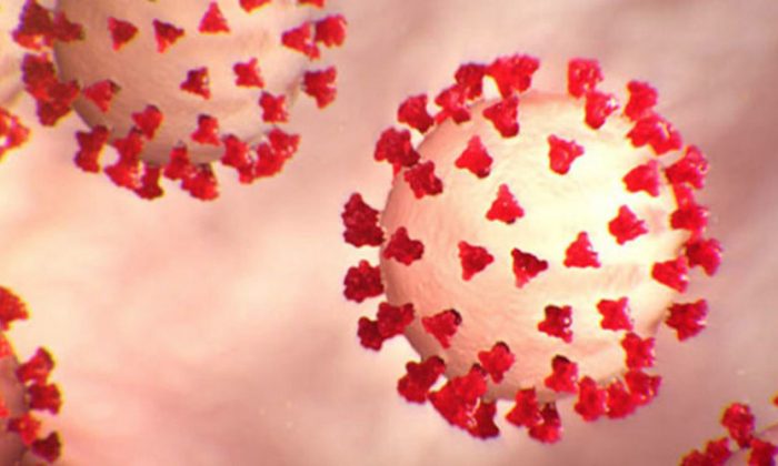 Makedonya`da 94 Yeni Vaka