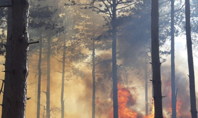Bulgarisrtan- Haskovo`da ki Yangınlar Kontrol Altına Alındı