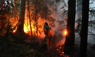 Bulgaristan`da Büyük Orman Yangıları