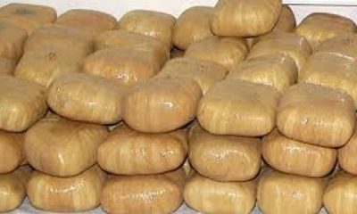 Arnavutluk Sınırında 200 KG Esrar Ele Geçirildi