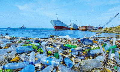 Akdeniz`e En Fazla Atık Atan Ülke Karadağ