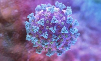 Karadağ`da Yeni Covid-19 Tedbirleri