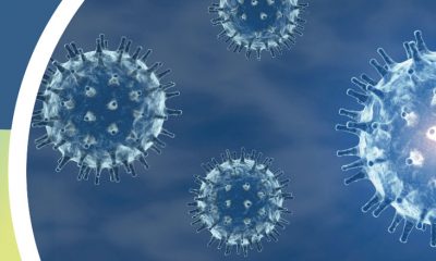 Bulgaristan`da 1 Nisan İtibari İle Okullarda Covid Önlemleri Kaldırılacak