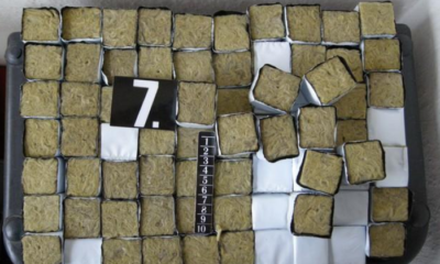 Bulgaristan Sınırında 33 Kilogram Kenevir Ele Geçirildi