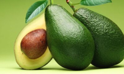 Avokado Bağırsaklarda Yararlı Bakterileri Besliyor