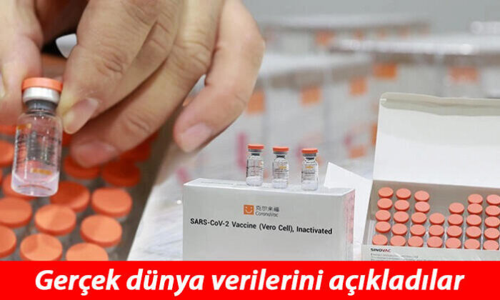 Sinovac Aşısının Gerçek Dünya Verileri Açıklandı