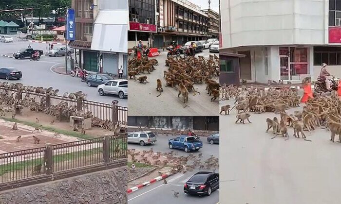 Korona Geldi, Sokaklar Onlara Kaldı