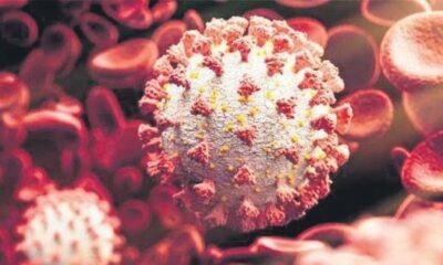 Bulgaristan`da Covid Vakalarında Artış