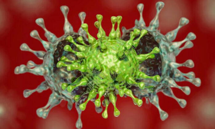 Bulgaristan`da Yeni Varyant Şüphesi