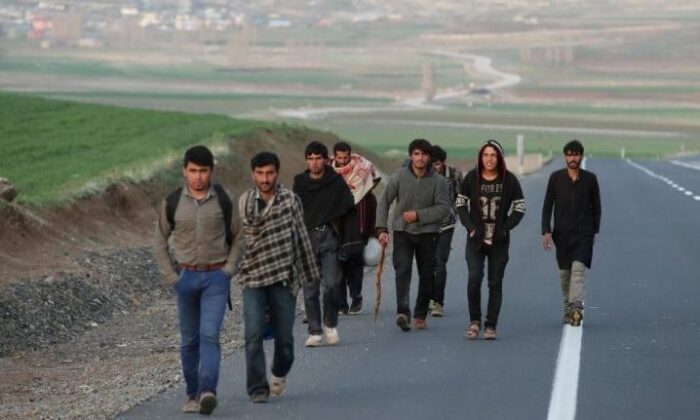 Bulgaristan Razgrad Yakınlarında 15 Kaçak Göçmen Yakalandı