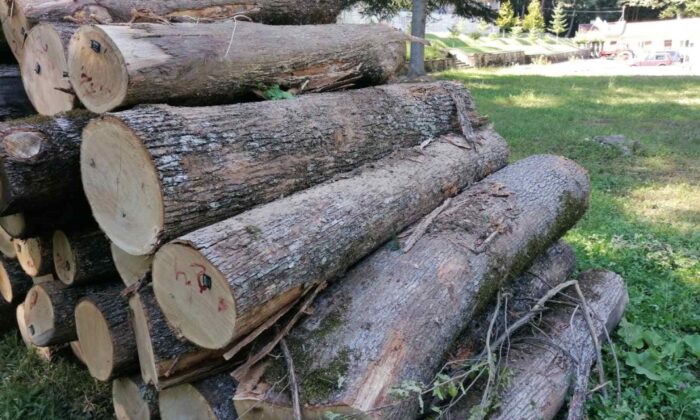 Bulgaristan Ülkede Yaşanan Yakacak Sıkıntısı Nedeniyle Odun İhracatı Yasakladı