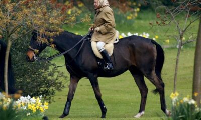 İngiltere Kralı Charles , Annesi Kraliçe 2. Elizabeth’ten Miras Kalan Yarış Atları Satıyor
