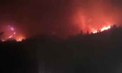 Bulgaristan`da Çıkan Yangın Günlerdir Sürüyor