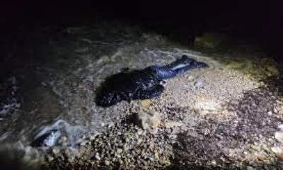 Bulgaristan Blagoevgrad’da Su Kuyusunda 25 Yaşında Bir Erkek Cesedi Bulundu