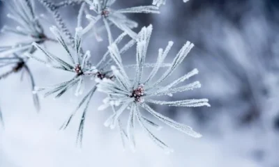 En çok yağış Debre’de kaydedildi