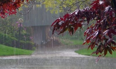 Yarından itibaren Makedonya genelinde sağanak yağış bekleniyor