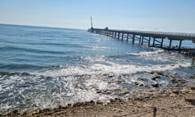 Bulgaristan’ın Karadeniz sularında 170’ten fazla petrol sızıntısı tespit edildi